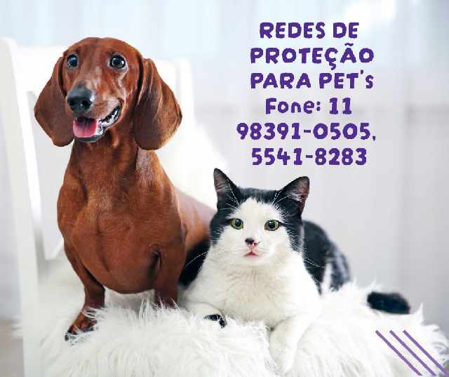 Foto 1 - Telas de proteo para gatos