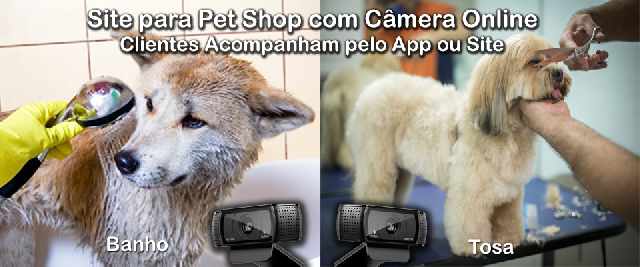 Foto 1 - Site pet shop cmera online e app