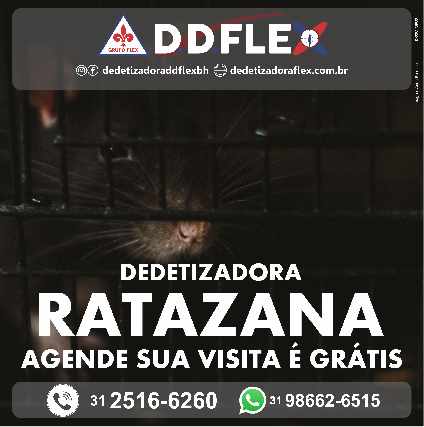 Foto 1 - Dedetizadora de ratos ddflex - pampulha / bh